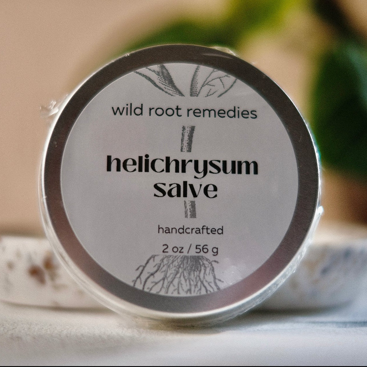 Helichrysum Flower - Salve