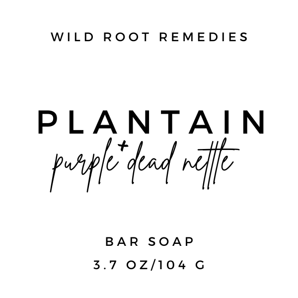 Purple Dead Nettle + Plantain - Infused Soap