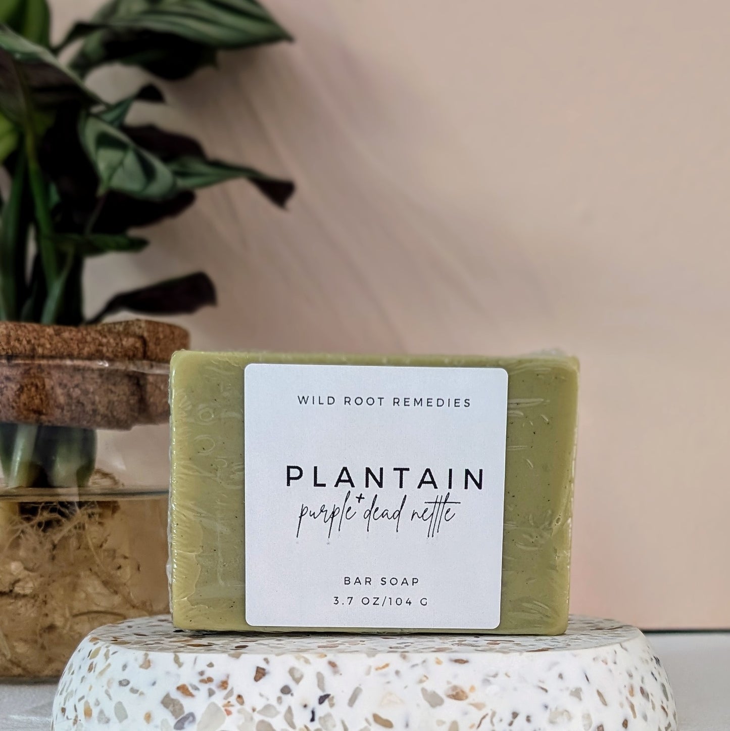 Purple Dead Nettle + Plantain - Infused Soap